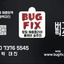 버그픽스 | 바퀴벌레 방역업체 버그픽스 추천 내돈내산 후기