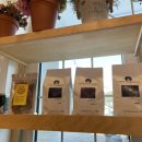 커피 옵저버토리(coffee observatory) 이미지