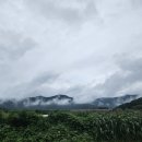 용동농장 이미지