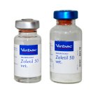 25세 동물병원 이미지