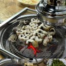 신안바다장어 이미지