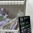 럭키켄넬 | 새로생긴 애견용품샵 24시 무인펫샵 견생냥품 수원매교점 후기