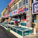 호텔 영천 | * 하꼬쌤 제주여행, 서부두길 ::영천횟집 탑동본점:: 내돈내산 후기 -