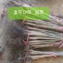 충청도4호 이미지