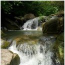 8월4일 (일요일) 반나절.대천공원~장산폭포사계곡 이미지