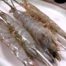 바다마차 이미지
