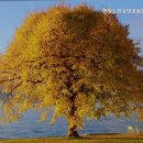 한빛현요양병원 | 믿을 수 있는 덕양구 요양원 추천 한빛노인요양공동생활가정 전문가의 따뜻한 돌봄