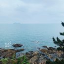 2024 국내여행 1박2일 충남 예산 태안 보령 여행코스 총정리