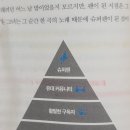 인앤드아웃 이미지
