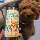 강아지사랑 | 후코아단 강아지 간식, 우리 사랑이의 솔직 후기