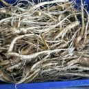 건강마을건강원 이미지