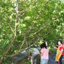 예성농장 이미지