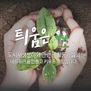 도시재생활동가협동조합틔움 이미지