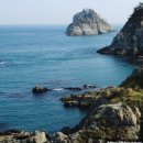 (주)동행여행사 이미지