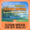 실험의 세계로 떠나는 과학여행 이미지