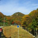 상대농장 이미지