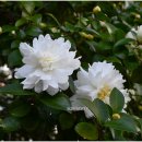 순천대학교 이미지