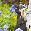 숲 동물의료센터 이미지