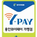 앨바트로복싱 이미지