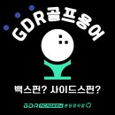 GDR아카데미 분당정자점 | [분당골프연습장] GDR아카데미 분당 정자점에서 알려드리는 GDR 골프 용어 알아보기!