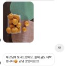 현영농장 | [OPEN🚨] 산지직송!! 믿고 먹는 꿀레어템 제주산 노지 조생귤 10kg 25,000원 특가로 모십니다. 진짜 존맛탱