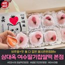 서도농장 | [여수] 삼대옥 본점, 줄서도 사야하는 딸기모찌! 봄시즌한정 벚꽃 생딸기찹쌀떡 10구 후기 (ft.내돈내산)