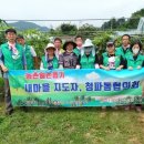 서면 당림1리 이미지