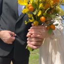 [Wedding] 벚꽃명소 일산호수공원 셀프 웨딩촬영 꿀팁 : 일산부케 색감GOAT ‘꽃진관’💐