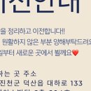 루시다X더나인