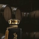 21 이미지