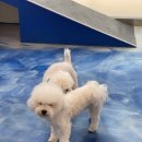 붕가붕가샵 이미지