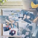 플랑크톤 이미지
