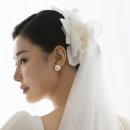 에이브릴헤어 이미지