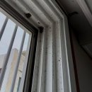 묘한 하루 | 새집으로 이사, 설레는 마음 가득! 근데 이 묘한 냄새는 뭐죠?