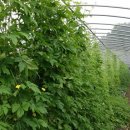 상남농장 이미지