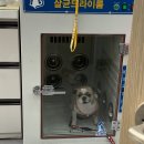 우신펫샵 네이버블로그