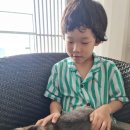 삼양동물병원 이미지