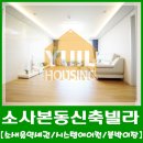 구.복사초 이미지