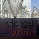 구피샵 신중동점 네이버블로그