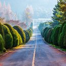 나주자원 이미지