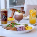 코코애월 이미지