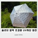 솔리브 암막 초경량 UV차단 양우산 후기 뜨거운 햇빛 차단!