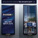 반도보라 이미지
