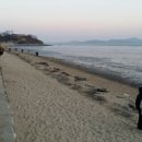 동막해수욕장 Daum카페