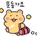 힙시스터즈 이미지