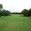 테디밸리CC 이미지