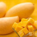 망고의 효능 망고 1개 칼로리 후숙 먹는법 알아봐요 이미지