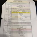 비엔나 8일차 - 쇤부른궁전, 오페라하우스 야경 팁, 기념품 후기