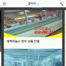 태백하늘소 이미지
