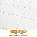 물때따라 이미지